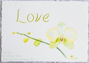yellow-green open-faced orchid, with more buds along the stem. watercolor on paper