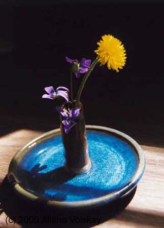 image-dandelion and violets