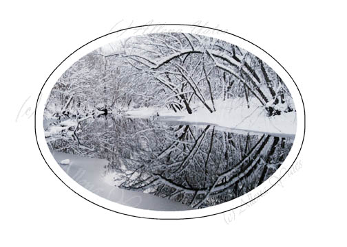 Snowy creek reflection