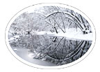 Snowy creek reflection